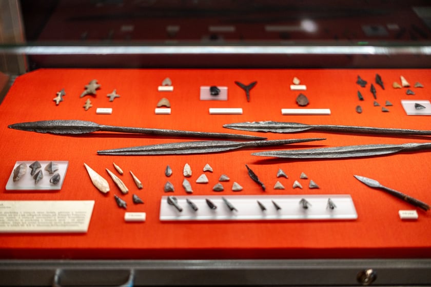 Wystawa Artificalia, naturalia, exotica w Muzeum Archeologicznym we Wrocławiu